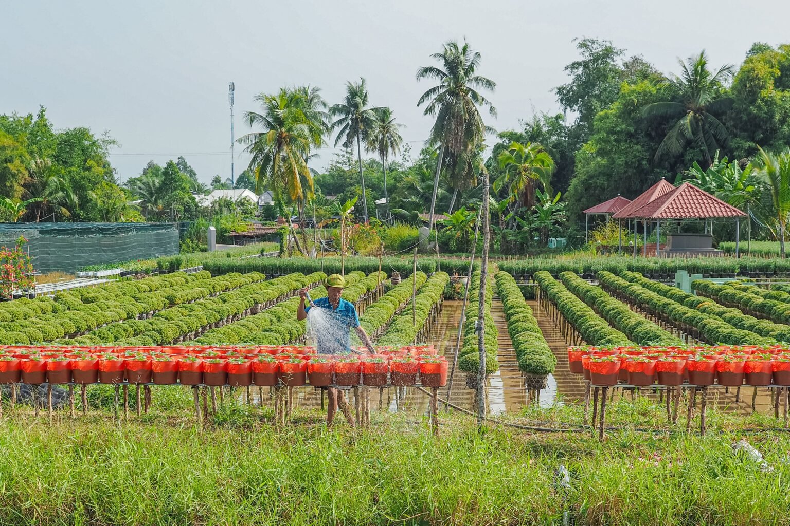 Quelques outils technologiques pour entretenir son jardin